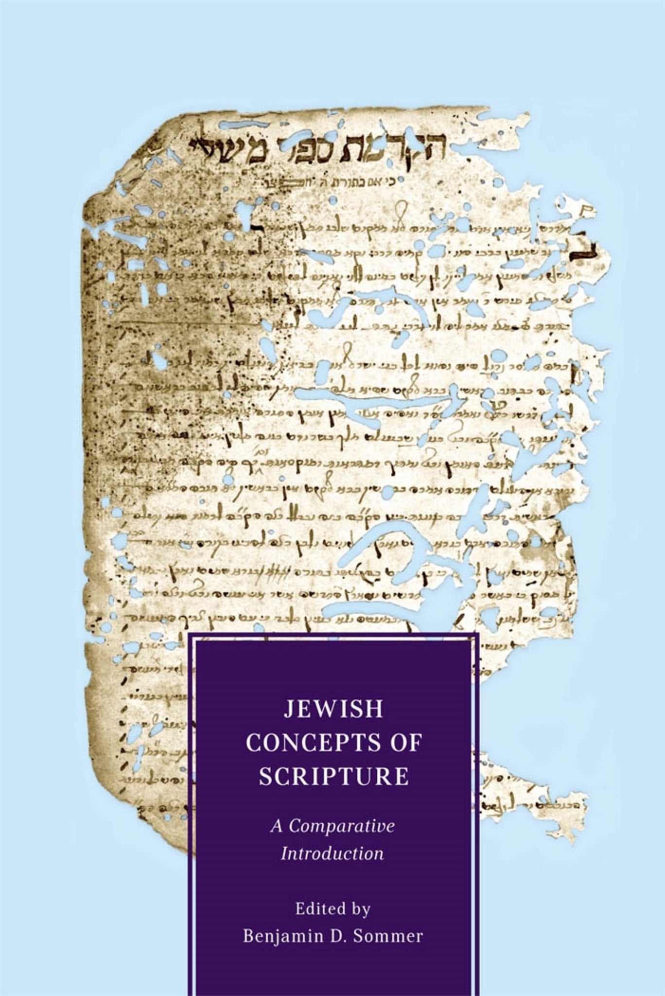 Cover image for Jewish Concepts of Scripture ISBN 9780814724606